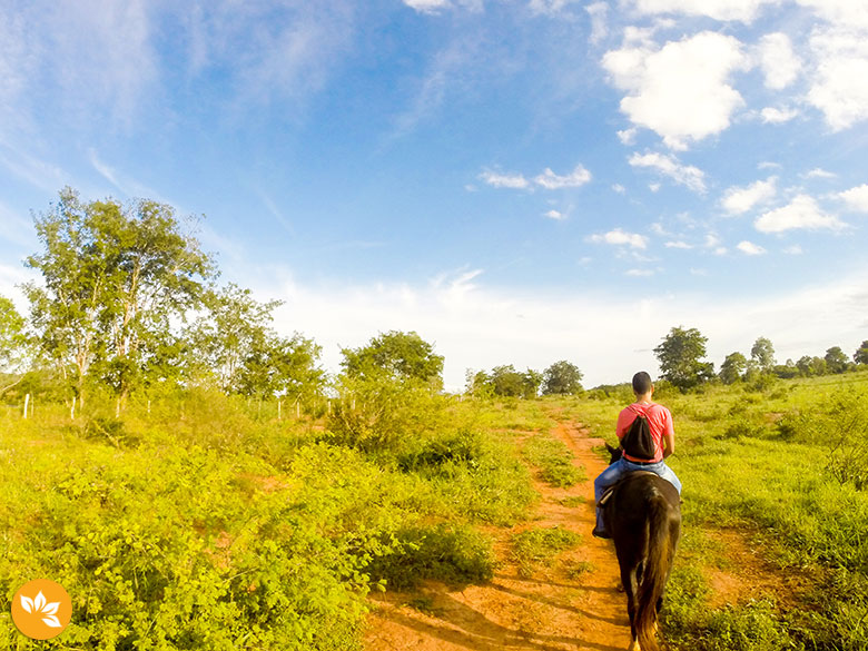 Willian Yudi – Cavalgada no Parque Ecológico Rio Formoso
