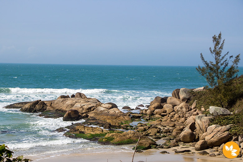 O que fazer na Praia do Rosa – Litoral Sul de Santa Catarina